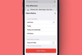 1740095288 So loeschen Sie die Safari Geschichte auf dem iPhone