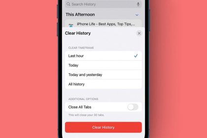 1740095288 So loeschen Sie die Safari Geschichte auf dem iPhone