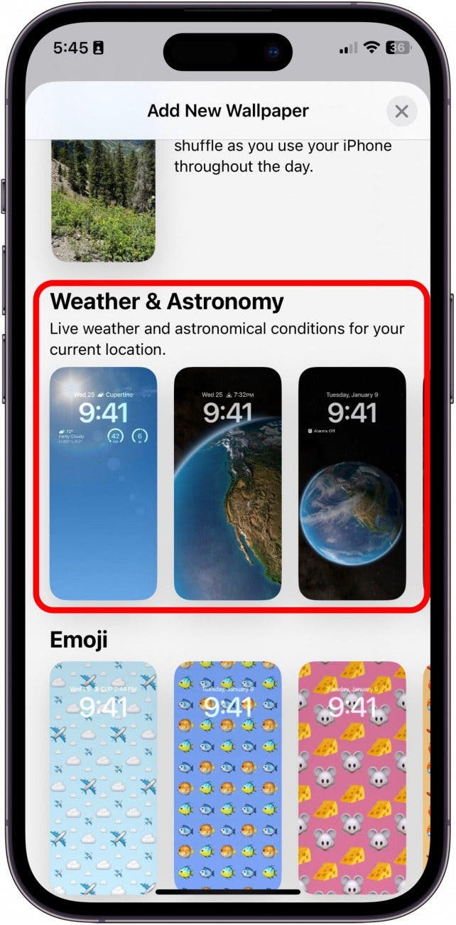 Wie Set Live Wallpaper auf dem iPhone