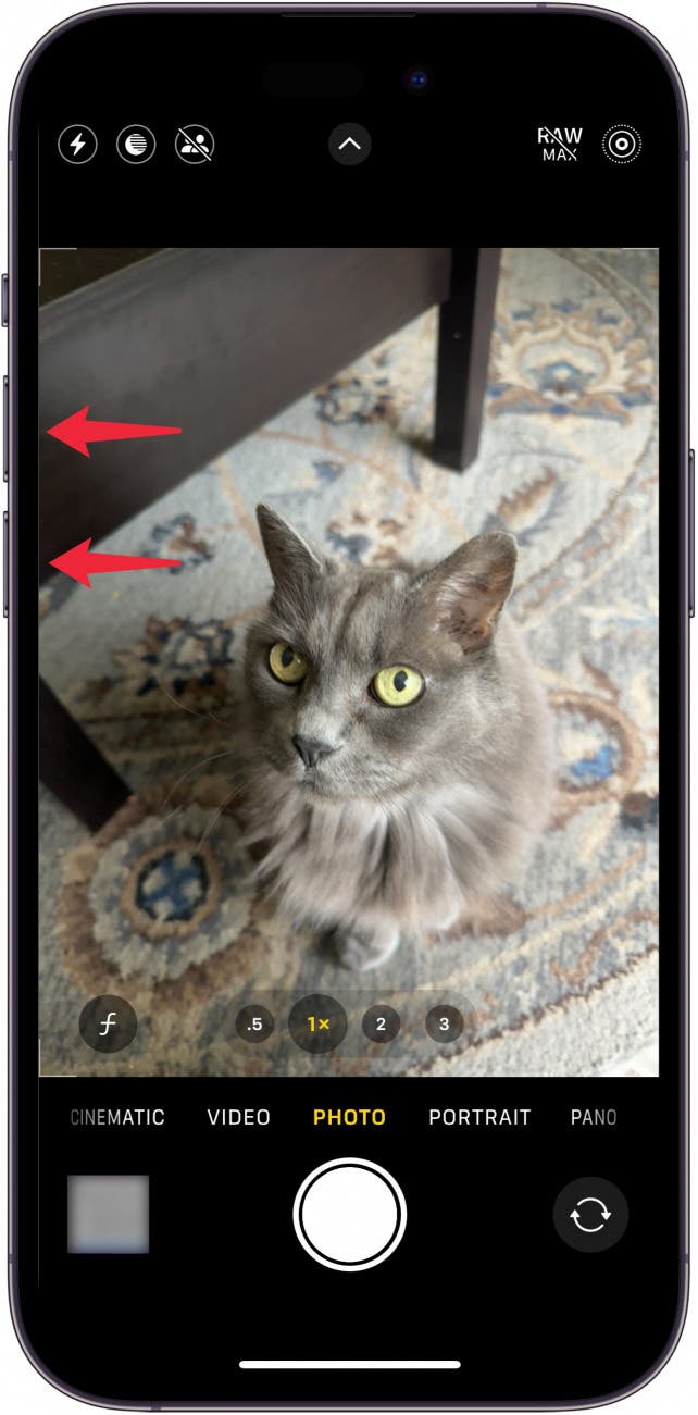 Das iPhone zeigt den Kamerabildschirm mit roten Pfeilen an, die auf die Lautstärketasten zeigen, was dem Benutzer angibt, eine der Lautstärketasten zu drücken