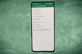 So verbergen Sie Ihren Online Status auf WhatsApp