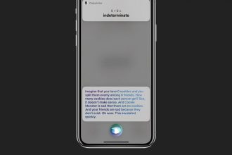 Wie man Siri verrueckt macht und lustige Dinge zu fragen