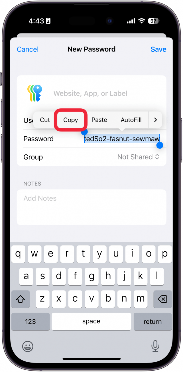 iPhone -Passwort -App Neues Passwortbildschirm mit starkem Kennwort und Kopieren/Einfügen mit einem roten Kästchen um die Kopie geöffnet