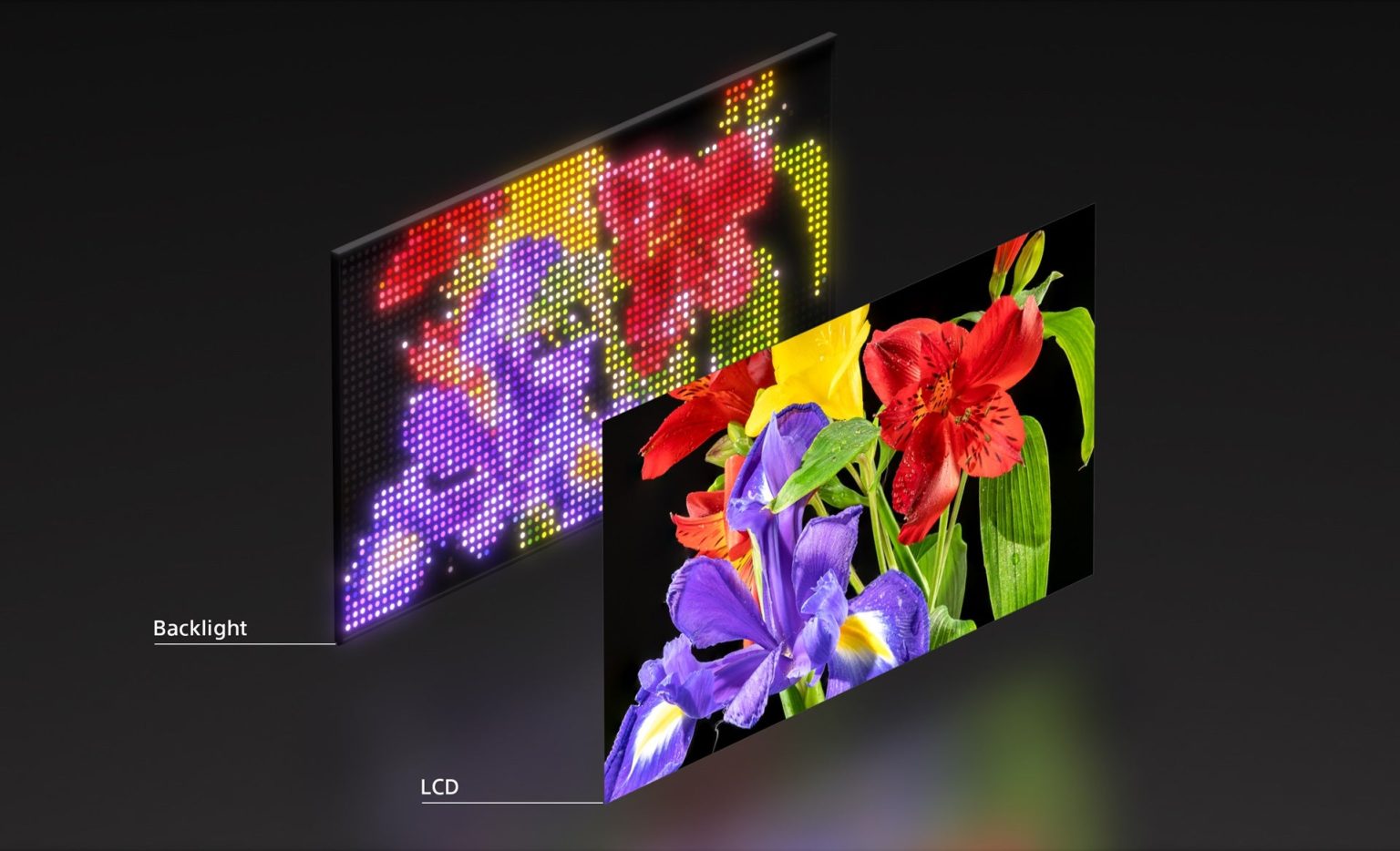 1741883063 Sony neckt RGB LED TV fuer 2026