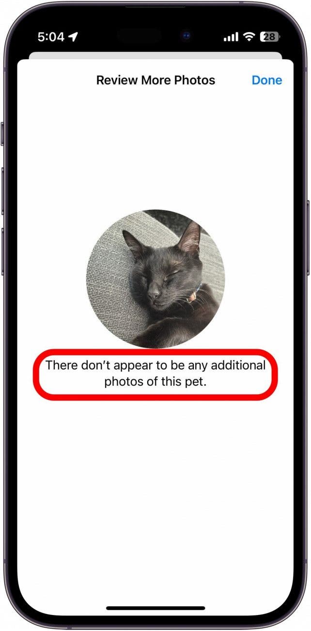 iPhone -Foto -Rezension mit rotem Kästchen rund um Text: "Es scheint keine zusätzlichen Fotos dieses Haustieres zu geben."
