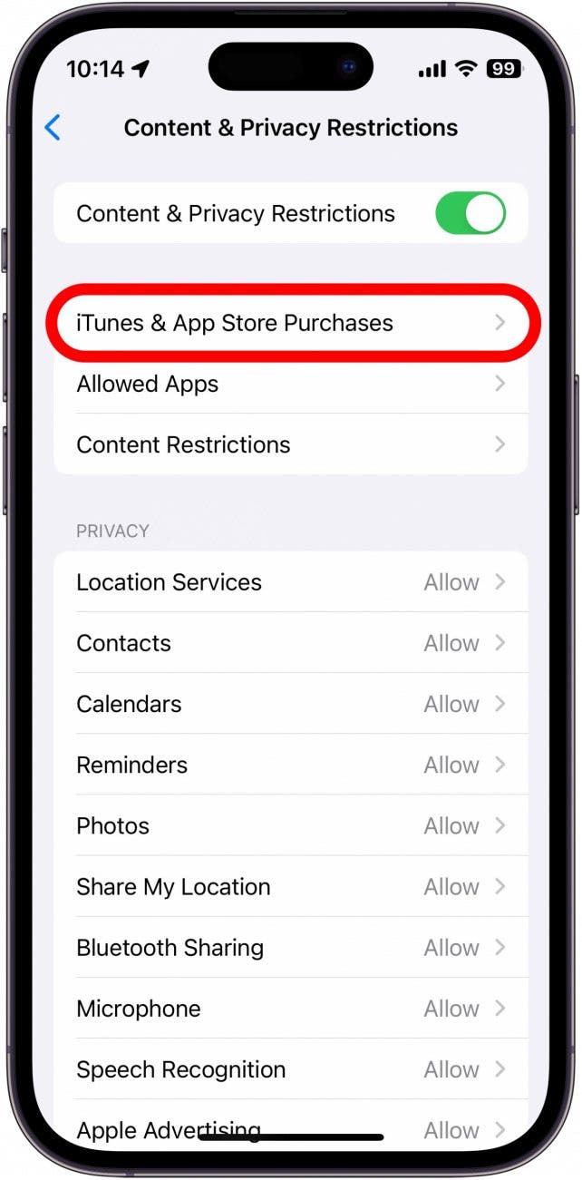 iPhone -Inhalte und Datenschutzbeschränkungen mit iTunes und App Store -Einkäufen rot eingekreist