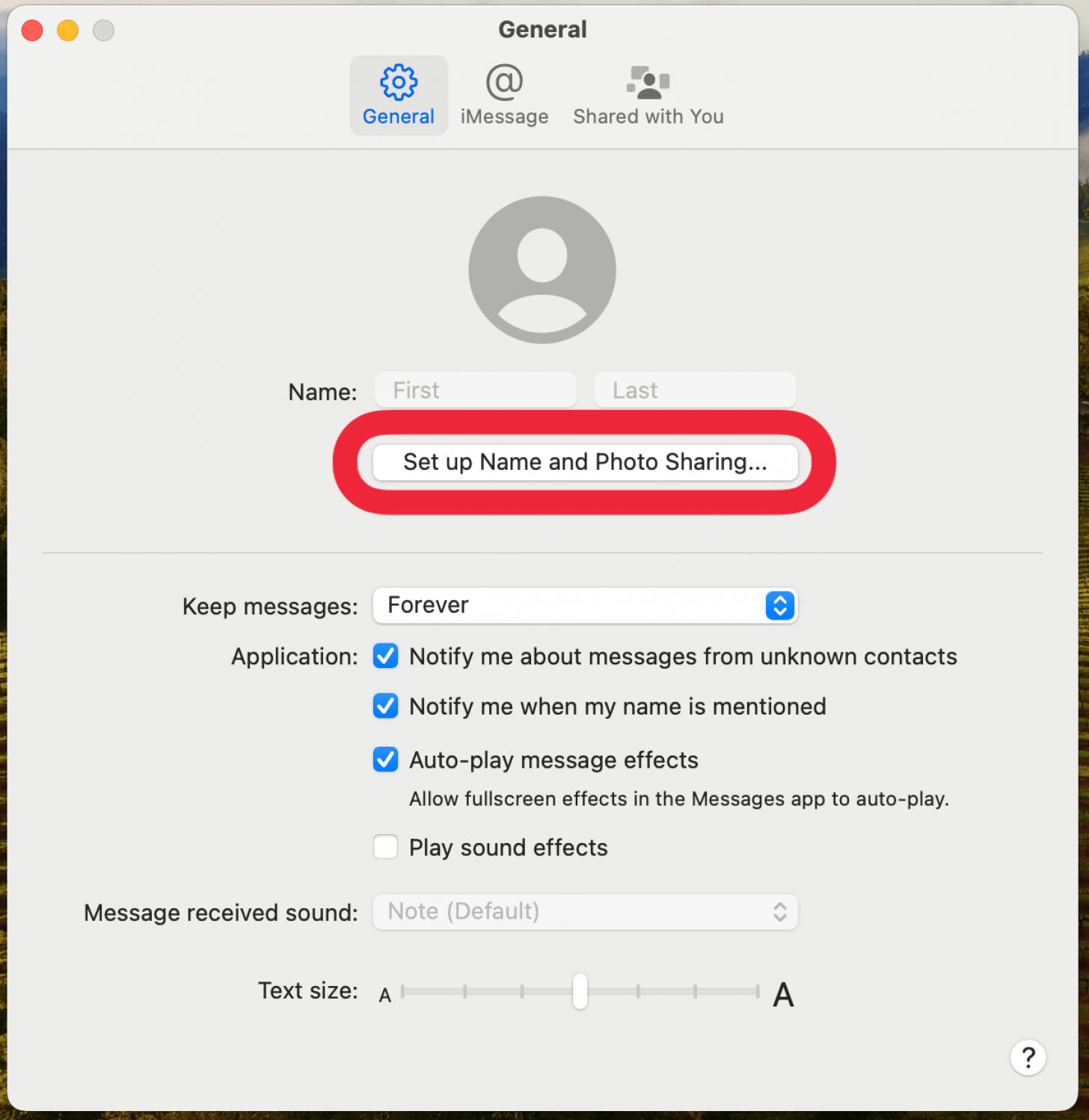 Mac Message App Allgemeine Einstellungen mit einem roten Feld um den Namen und die Fototutzung der Foto -Sharing -Schaltfläche