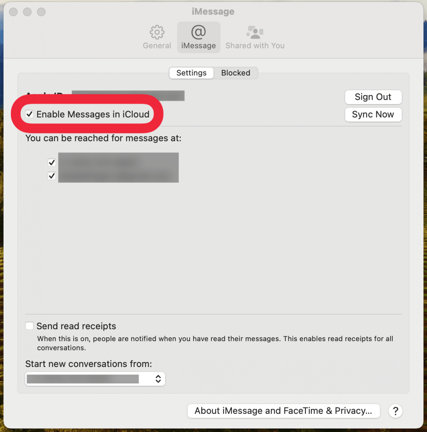 MAC IMESSAGE -Einstellungen mit einem roten Box um die Option 