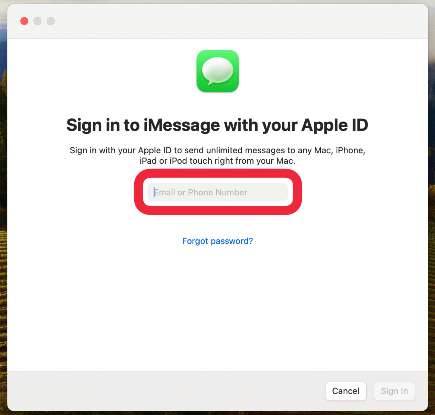 Mac -Nachrichten -App mit einem Anmeldebildschirm mit einem roten Feld um E -Mail -Eintragsfeld anzeigen