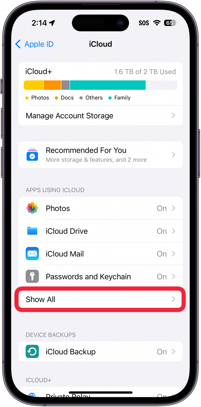 iPhone iCloud -Einstellungen mit einem roten Box um alle Taste anzeigen