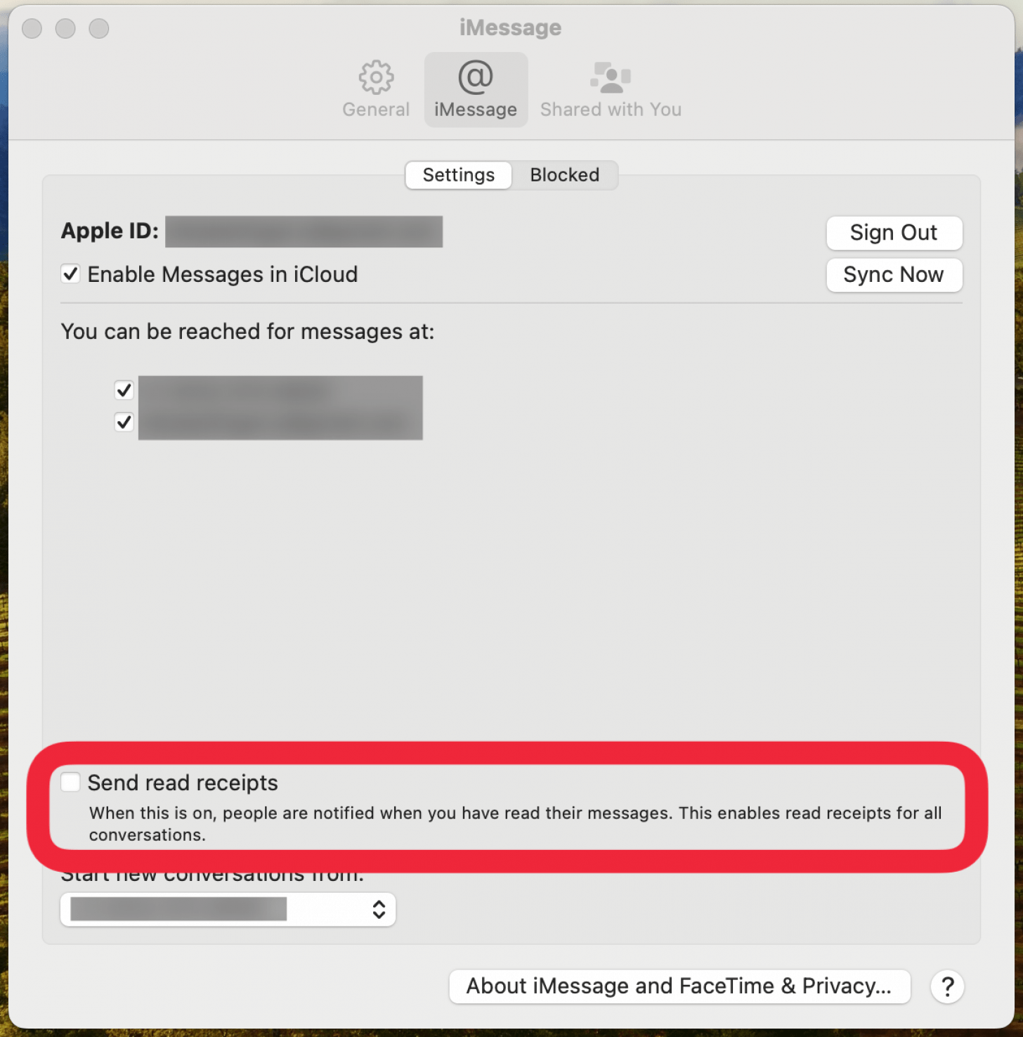 MAC IMESSAGE -Einstellungen mit einem roten Kontrollkästchen rund um die Read -Quittungs -Kontrollkästchen senden