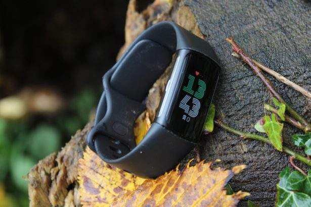 Die Fitbit Gebuehr 6 wurde gerade viel besser