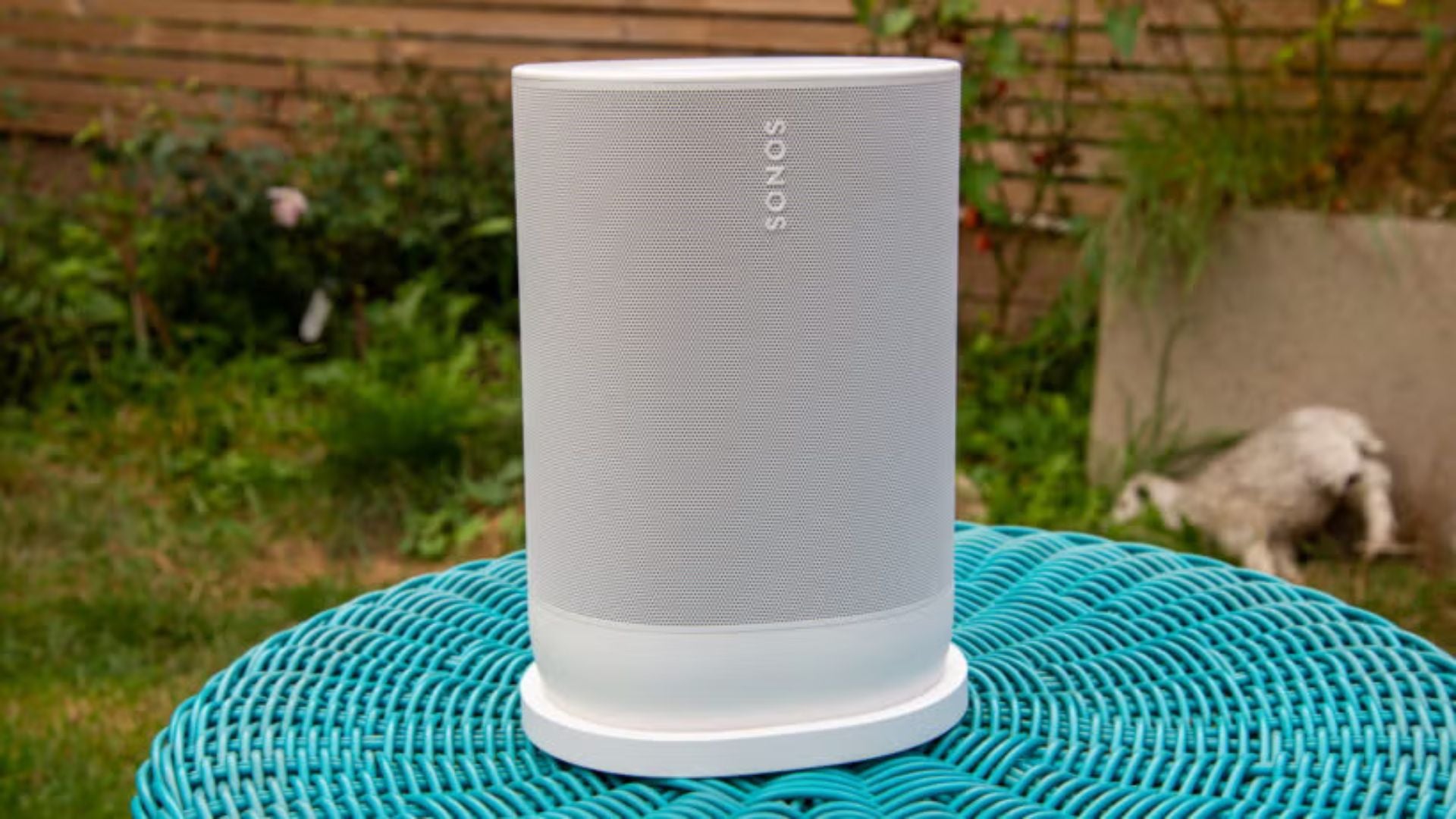 Einer unserer Lieblingsredner von Sonos Outdoor ist ein Amazonas Schnaeppchen