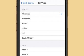 So aendern Sie Siris Stimme auf dem iPhone