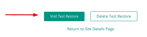 Restauración de prueba de visita de Blogvault