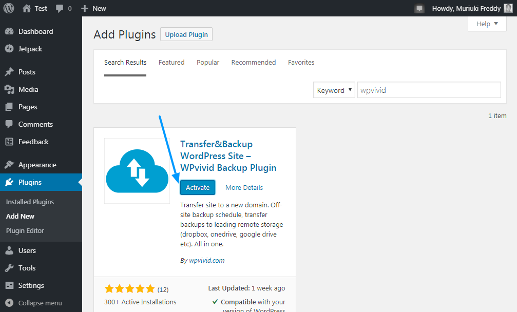 activando el complemento de copia de seguridad wpvivid