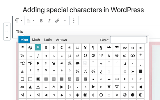 Agregue caracteres especiales en el editor de bloques de WordPress de Gutenberg