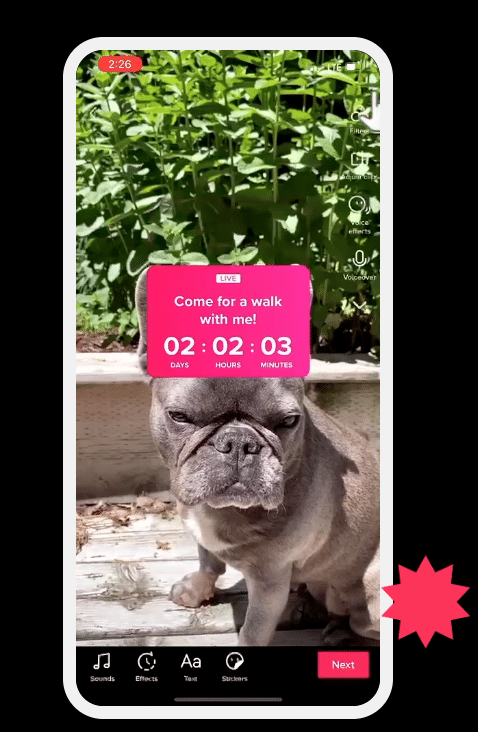Calcomanía de cuenta regresiva de transmisión en vivo en TikTok