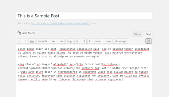 Editor de WordPress clásico de pantalla completa en modo texto