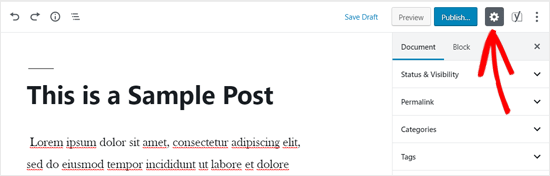 Icono de configuración del editor de WordPress
