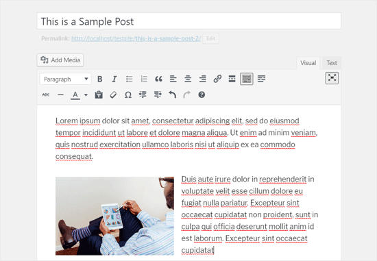 Editor de WordPress clásico de pantalla completa en modo visual