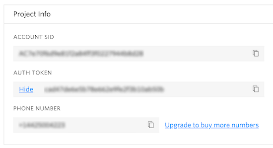 Pantalla de información del proyecto Twilio