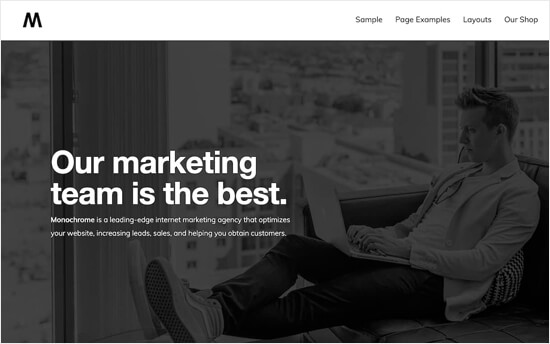 Monocromo - Themelocal Tema monocromático Pro para el sitio web de la comunidad en línea BuddyPress