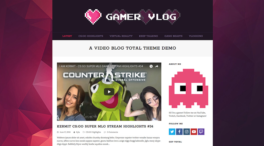 Total de vlogs de temas de WordPress