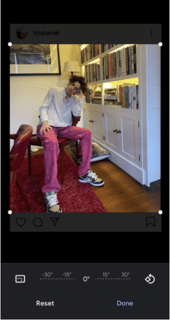 Recortando la imagen de Timothee Chalamet con el editor de fotos de iPhone