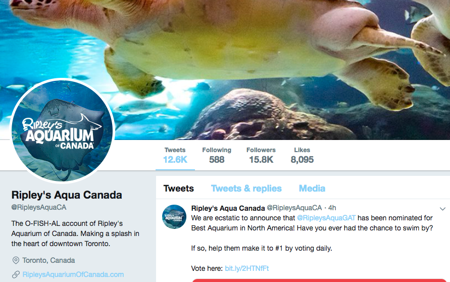 Biografía en Twitter del Acuario de Toronto