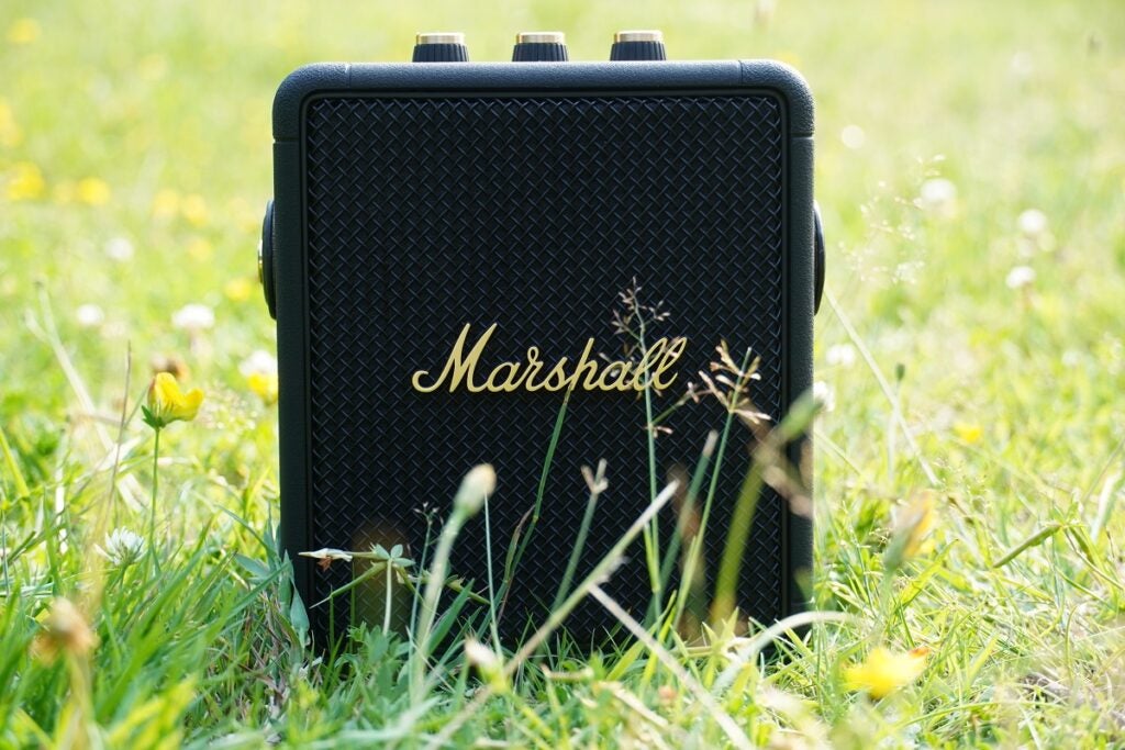 Marshall Stockwell II en pasto