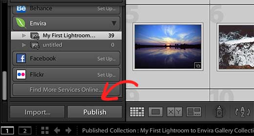 Publicar desde Lightroom en Envira Gallery