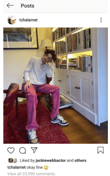 publicación de instagram de Timothee Chalamet