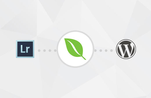 Cómo subir fotos desde Adobe Lightroom a WordPress