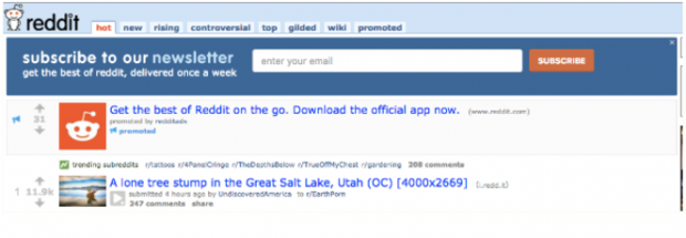 Como utilizar Reddit Ads una guia rapida para empresas
