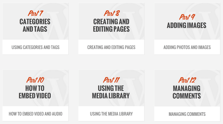 Los videos WP101 vienen de serie.