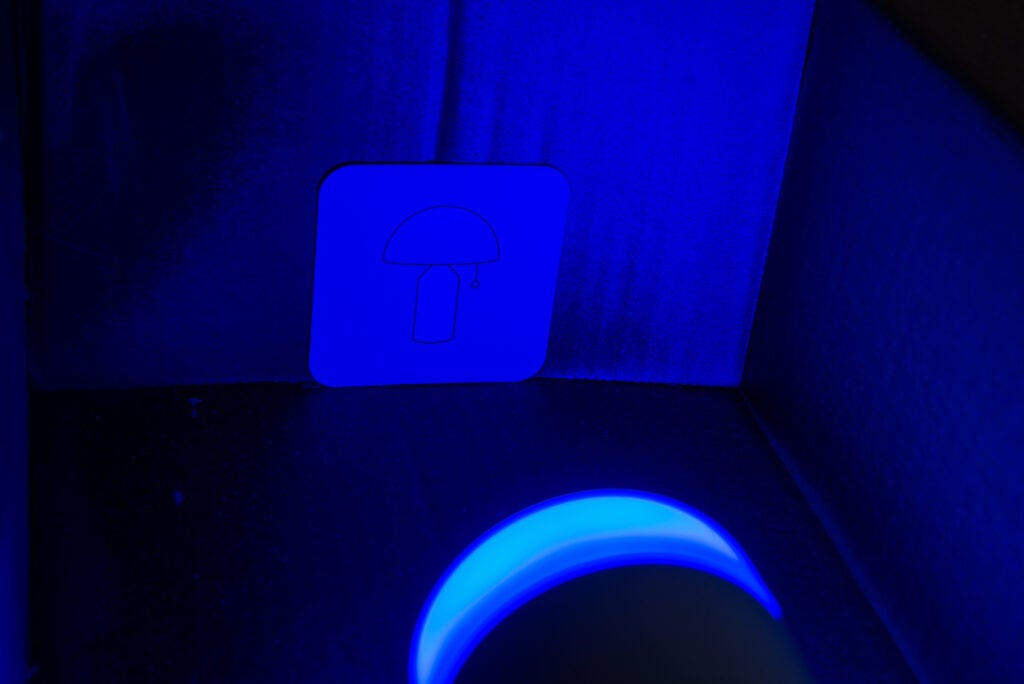 Ciclo de limpieza LIFX Clean