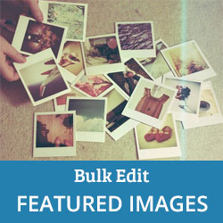 Como editar imagenes destacadas de forma masiva en WordPress
