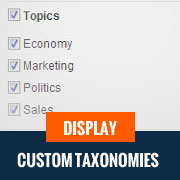Como mostrar terminos de taxonomia personalizados en los widgets de