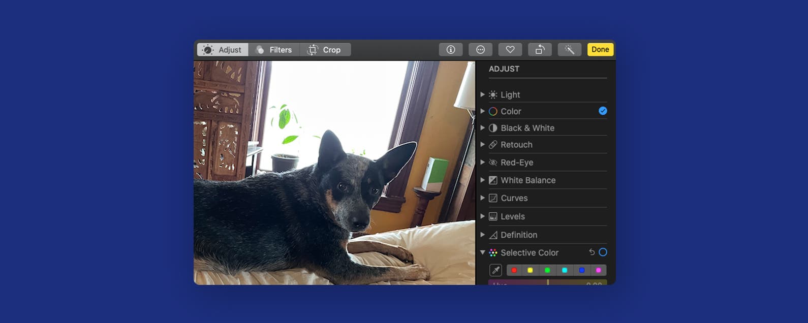 1645585699 Edicion de fotos como copiar y pegar ediciones en Mac