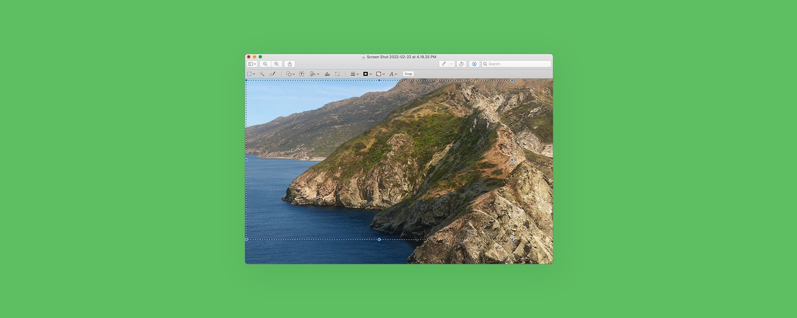 1647426289 Como recortar fotos en Mac %C2%A1la forma mas facil