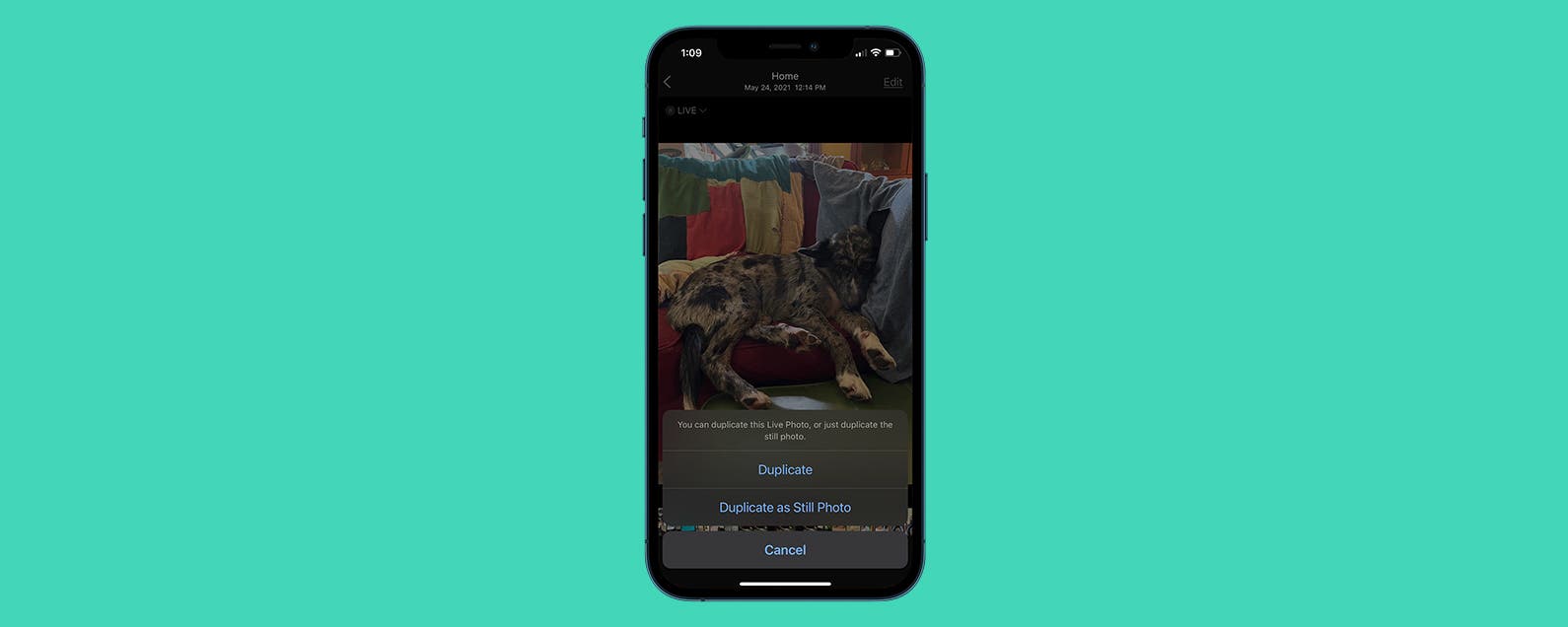 1647474984 Como convertir Live Photo a Still en iPhone actualizacion de