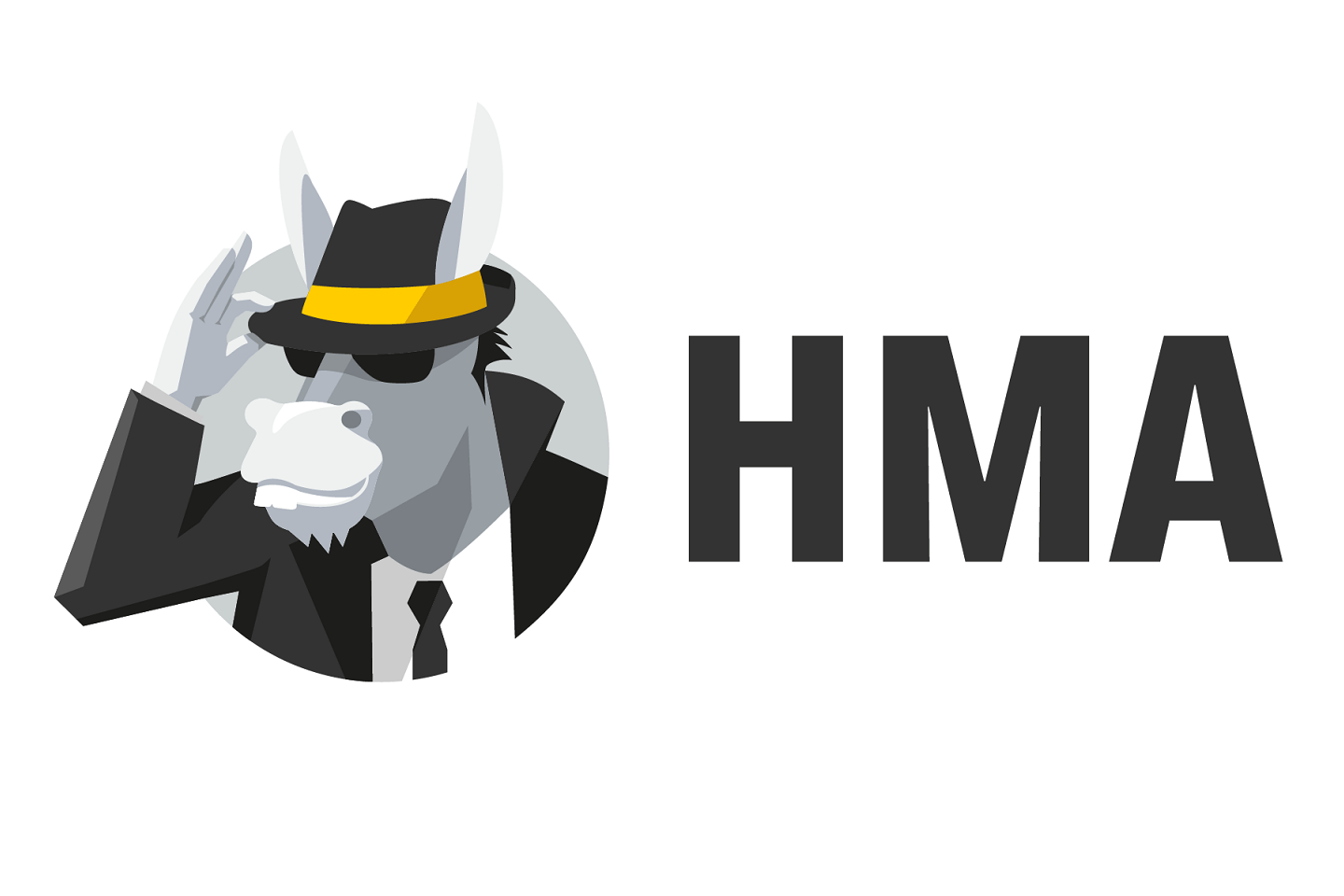 1652305216 Revision de HMA VPN