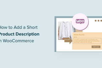 Como agregar una breve descripcion del producto en WooCommerce