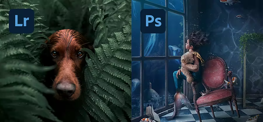 Lightroom y Photoshop