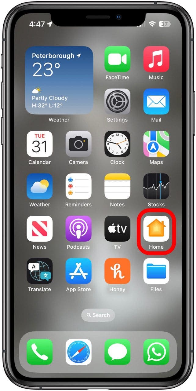 abrir la aplicación de inicio homepod mini no responde