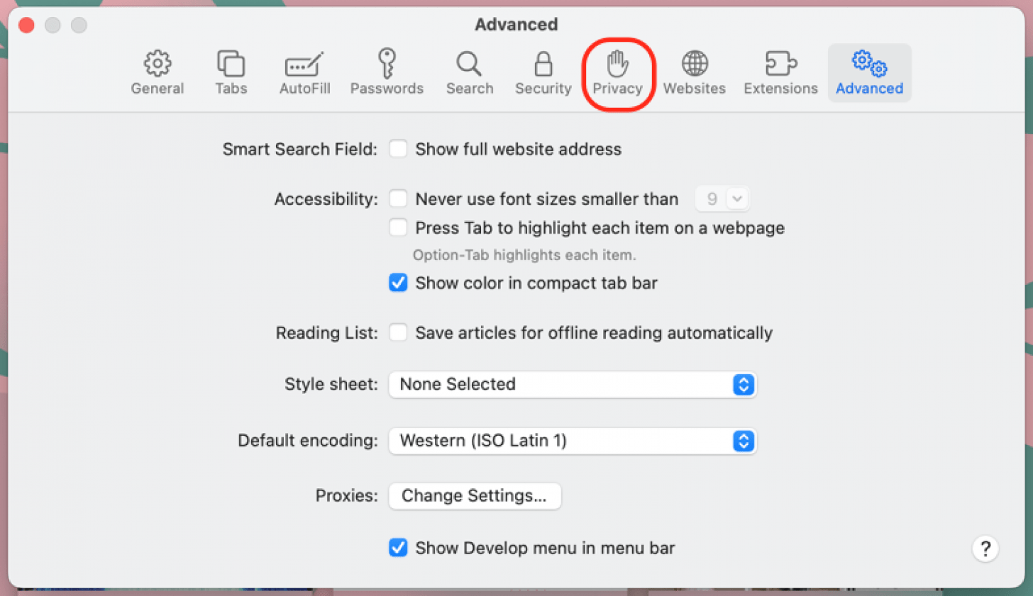 haga clic en privacidad en la configuración de safari para habilitar las cookies