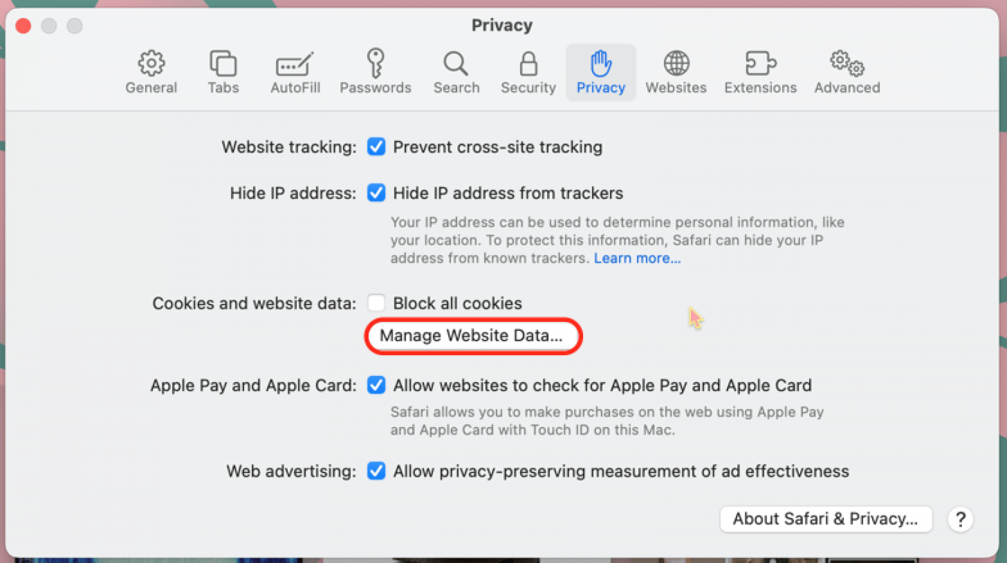 haga clic en administrar datos del sitio web para borrar las cookies en mac