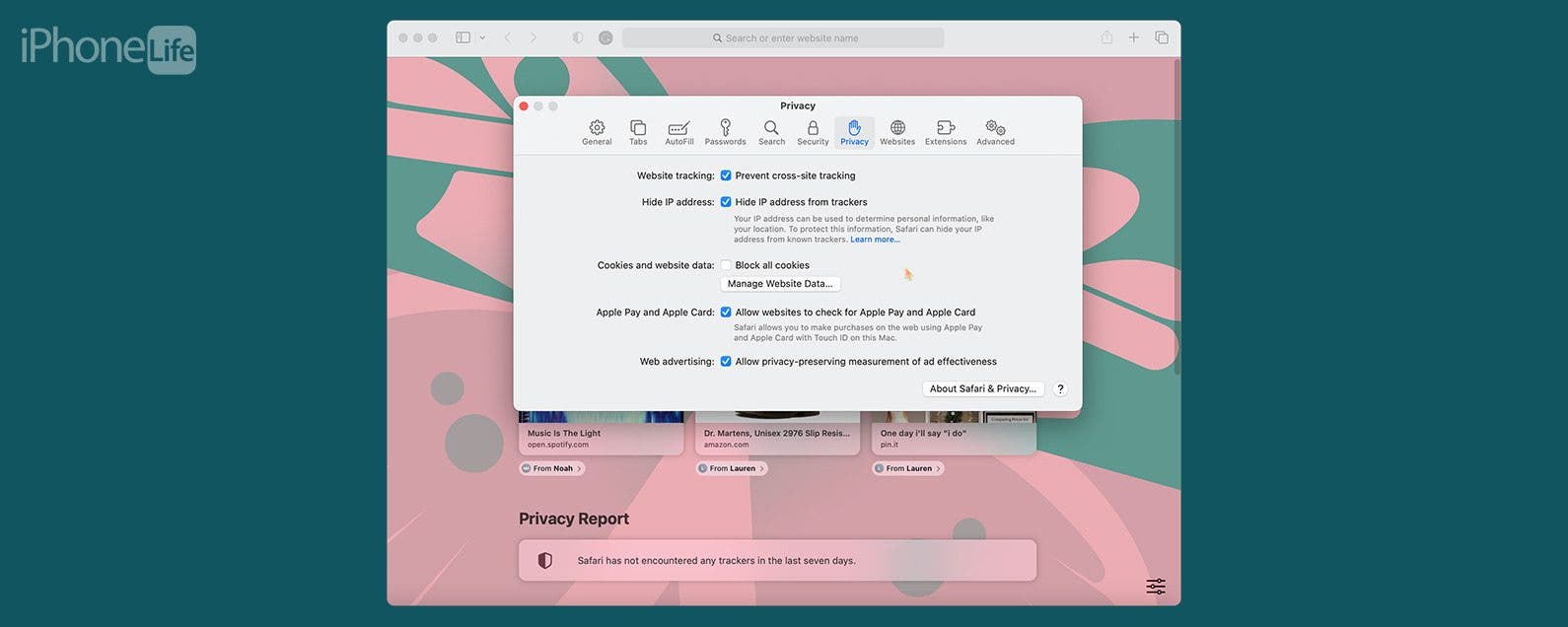 Como borrar y habilitar las cookies en Safari en tu