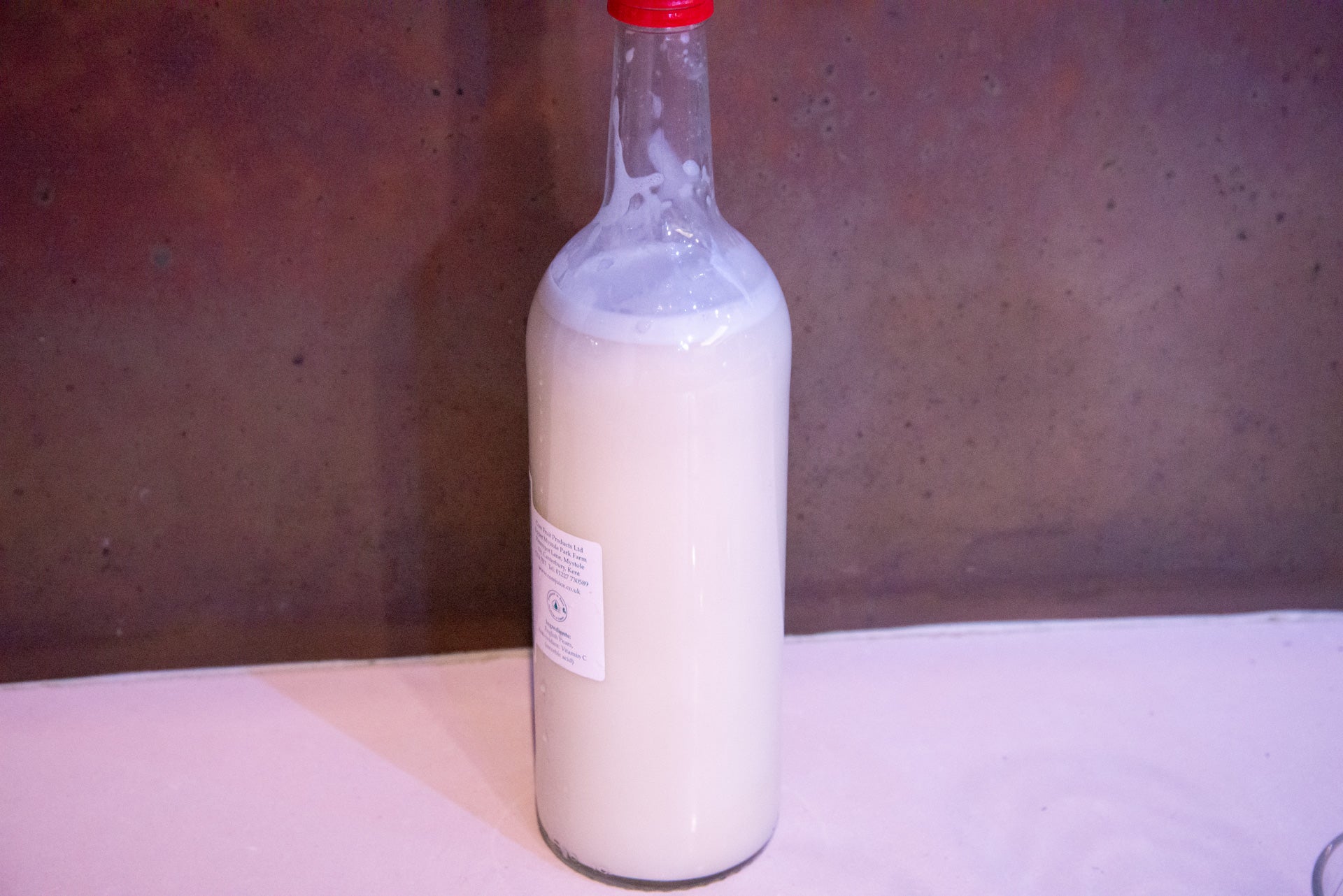 Salter Plant Milk Maker leche de avena